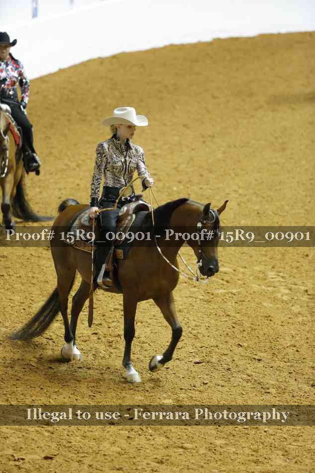 Proof Number 15R9_00901