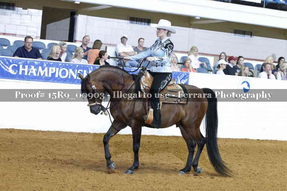 Proof Number 15R9_00903