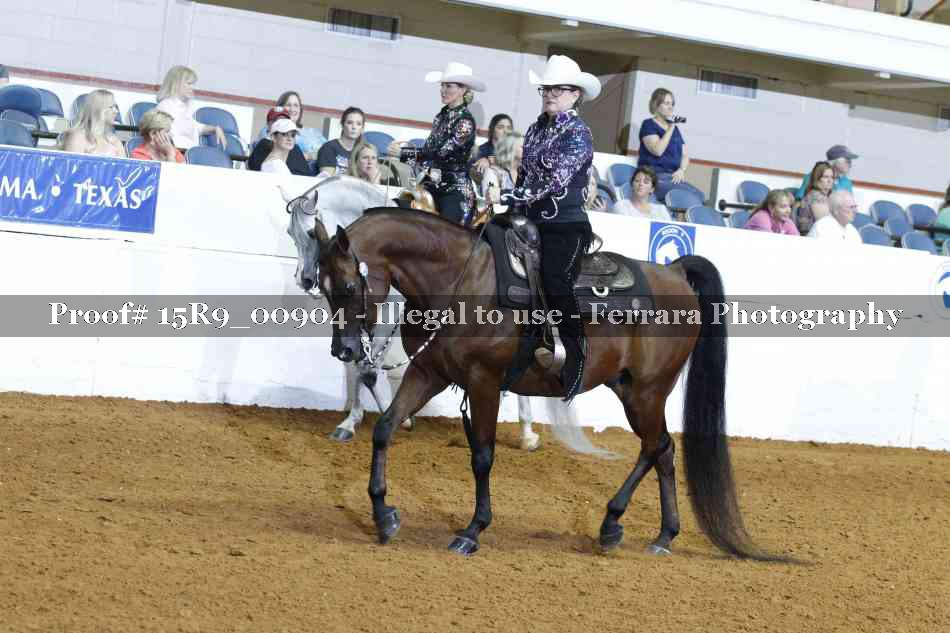 Proof Number 15R9_00904