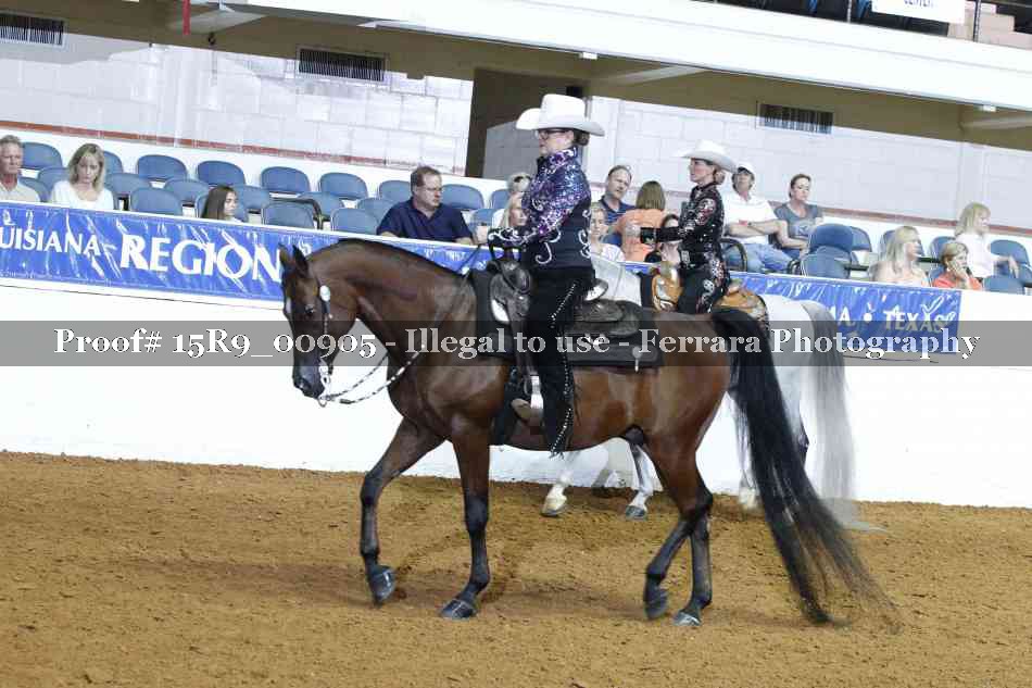 Proof Number 15R9_00905