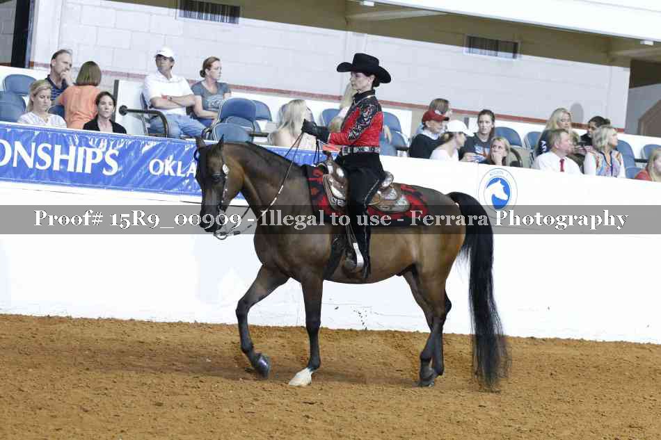 Proof Number 15R9_00909