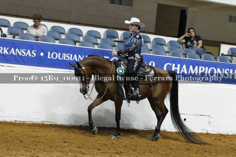 Proof Number 15R9_00911