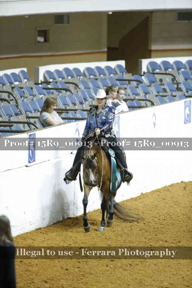 Proof Number 15R9_00913