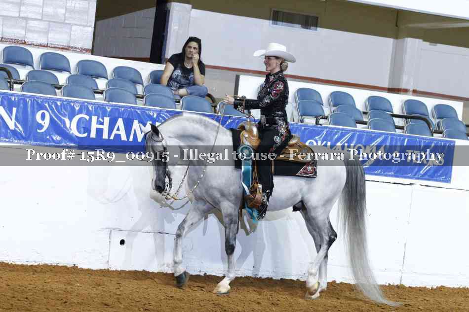 Proof Number 15R9_00915