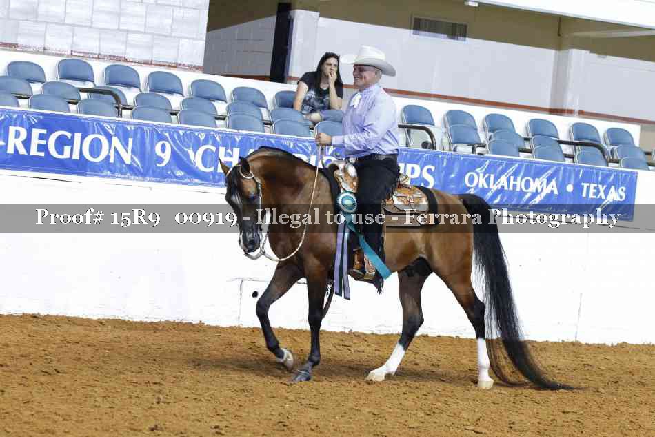 Proof Number 15R9_00919