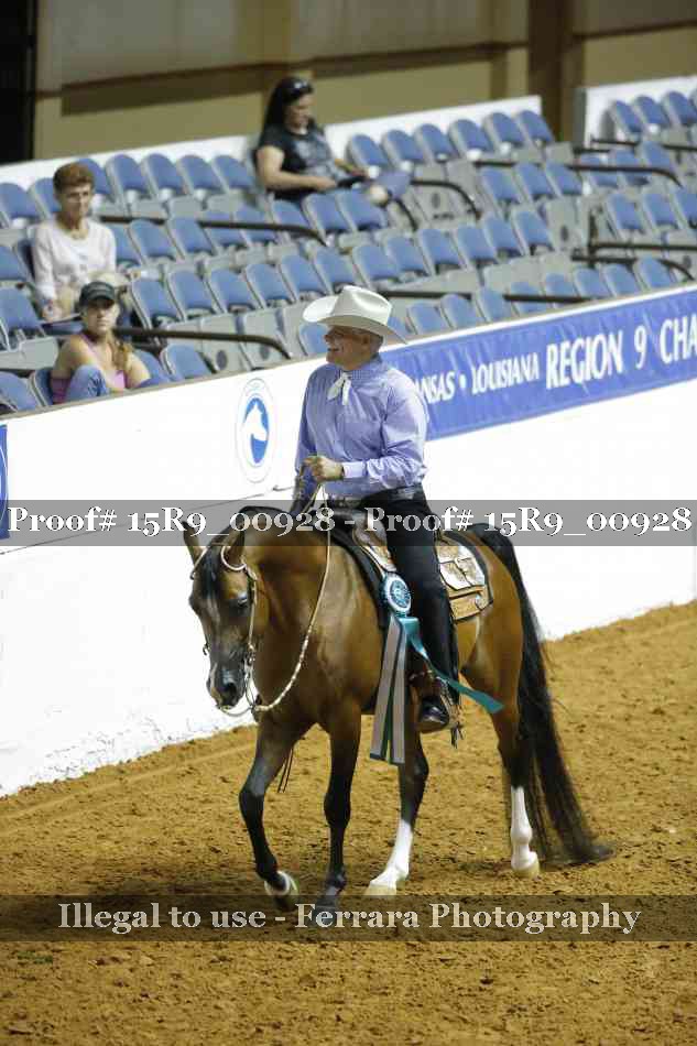 Proof Number 15R9_00928