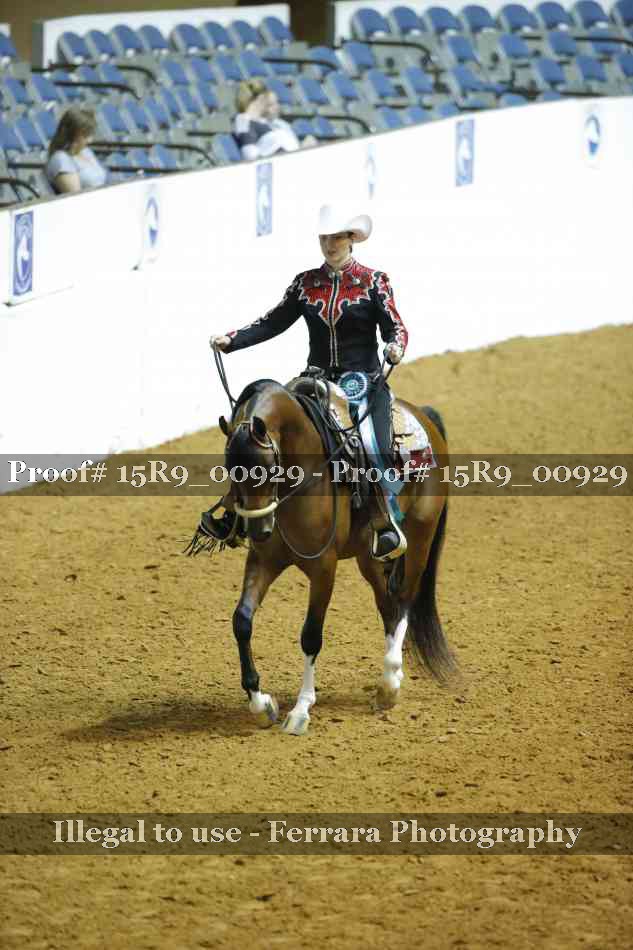 Proof Number 15R9_00929