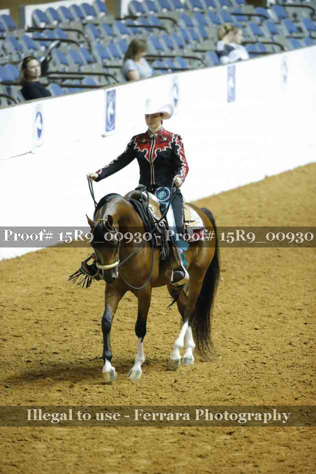 Proof Number 15R9_00930