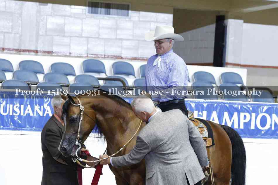 Proof Number 15R9_00931