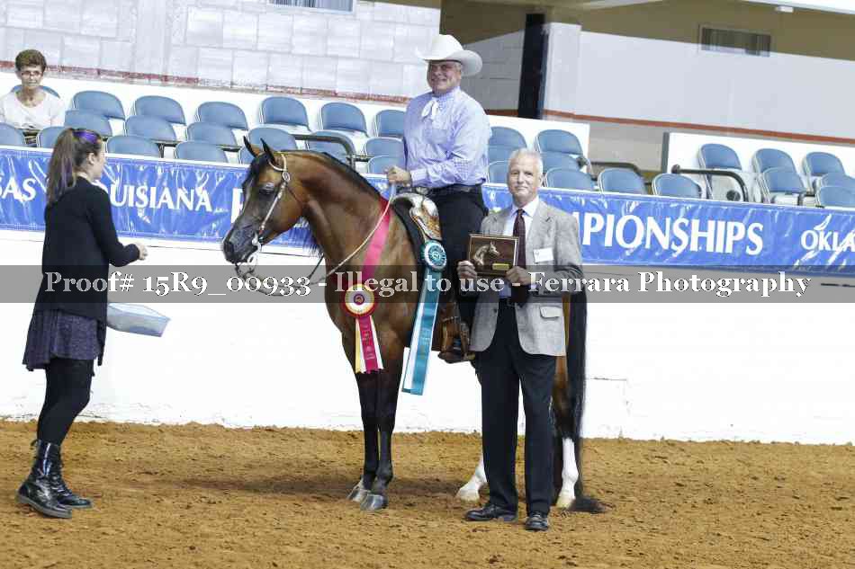 Proof Number 15R9_00933