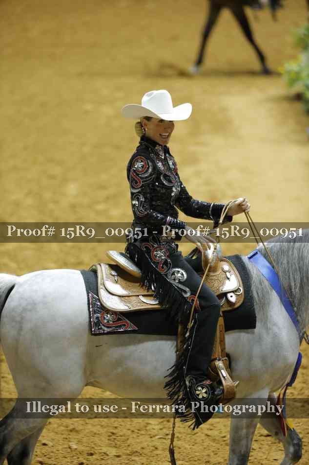Proof Number 15R9_00951