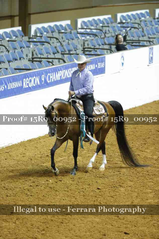 Proof Number 15R9_00952