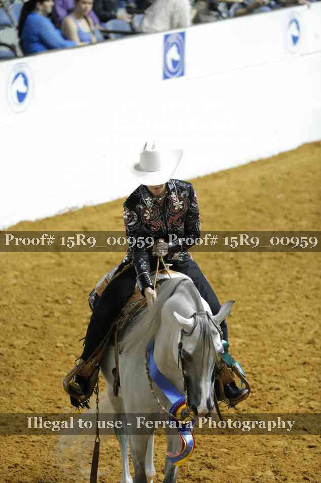 Proof Number 15R9_00959