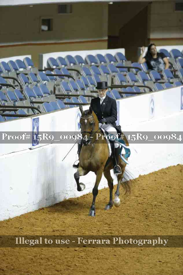Proof Number 15R9_00984