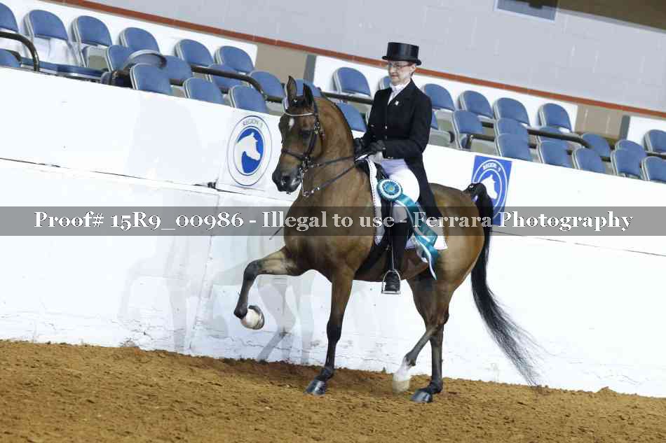 Proof Number 15R9_00986
