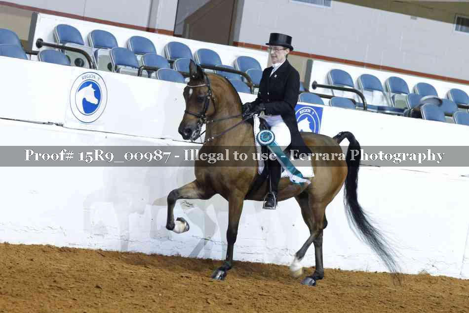 Proof Number 15R9_00987