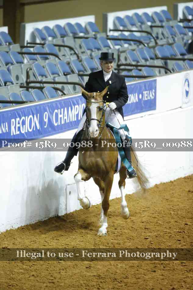 Proof Number 15R9_00988