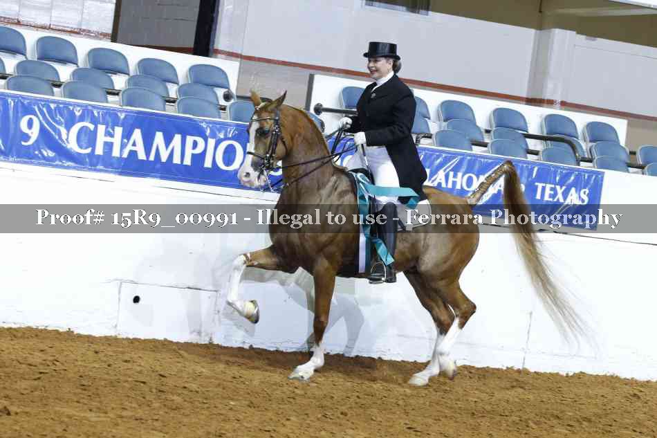 Proof Number 15R9_00991
