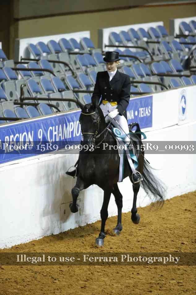 Proof Number 15R9_00993