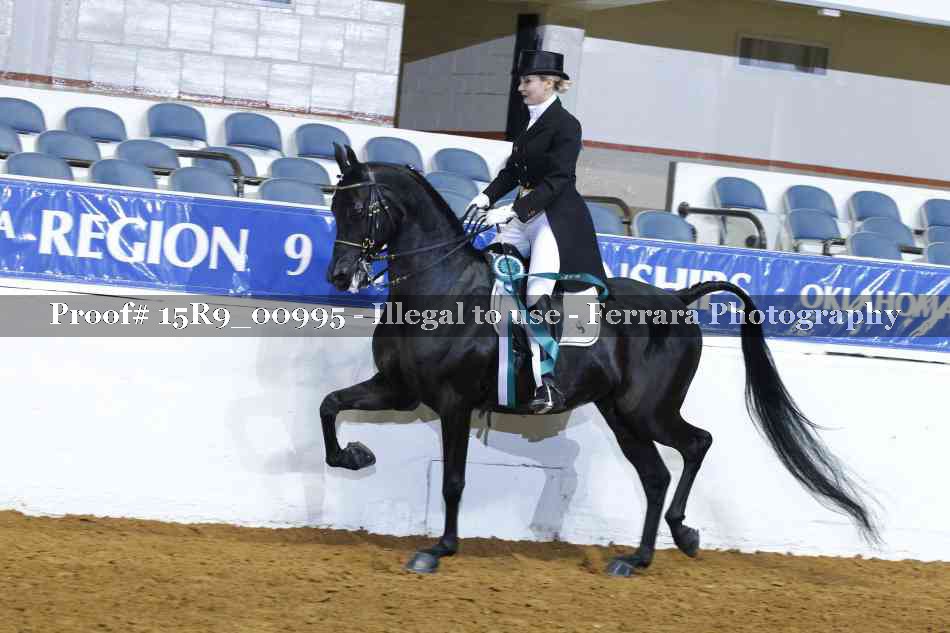 Proof Number 15R9_00995