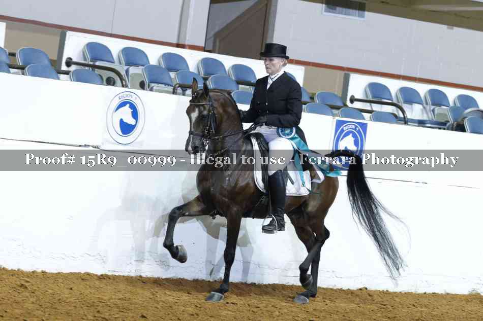 Proof Number 15R9_00999