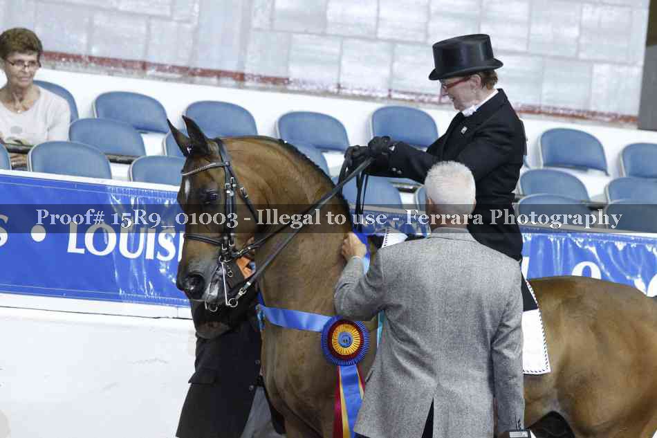 Proof Number 15R9_01003