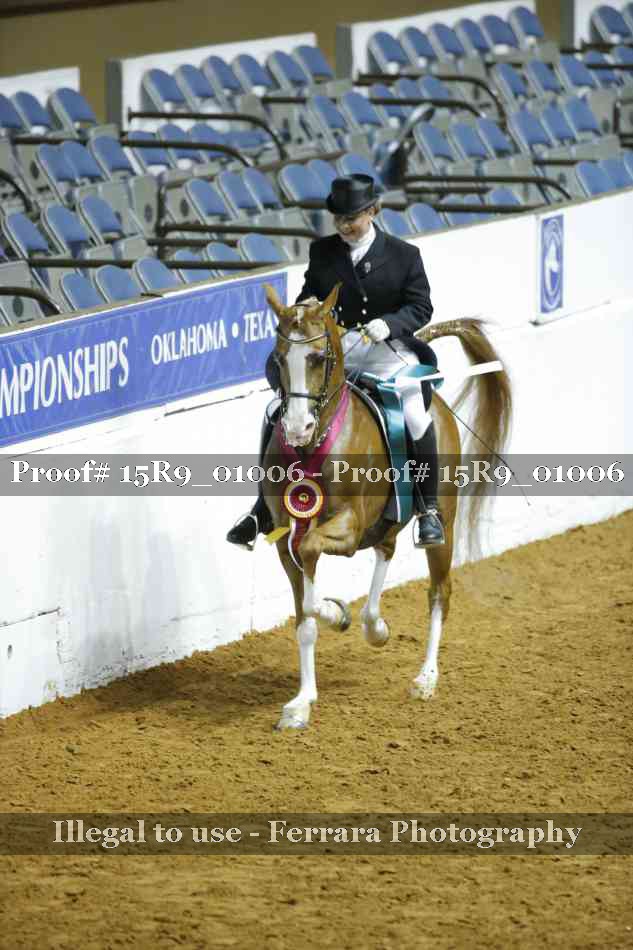 Proof Number 15R9_01006