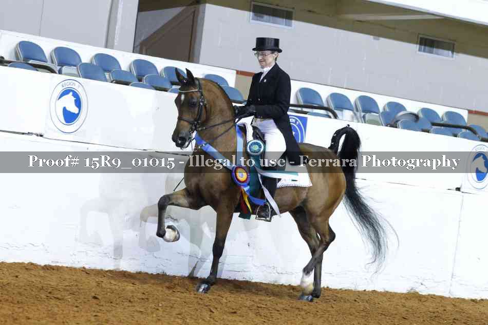 Proof Number 15R9_01015