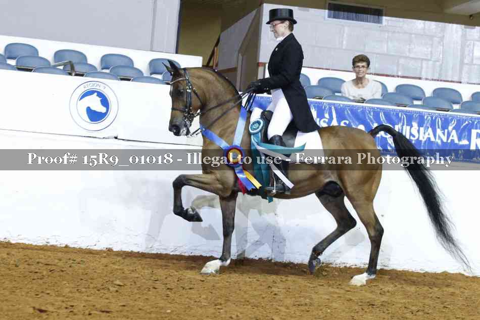 Proof Number 15R9_01018