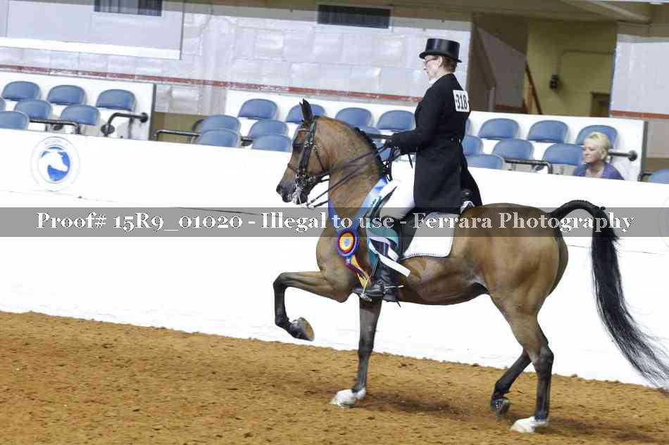 Proof Number 15R9_01020