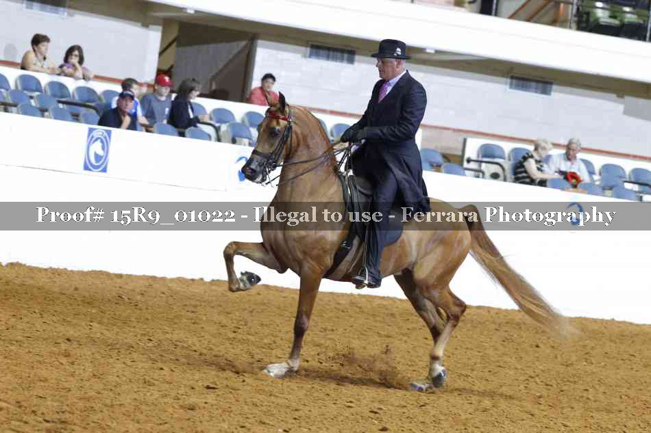 Proof Number 15R9_01022