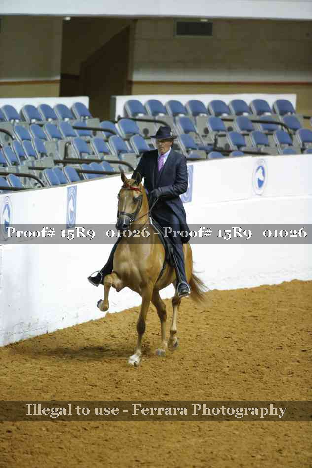 Proof Number 15R9_01026