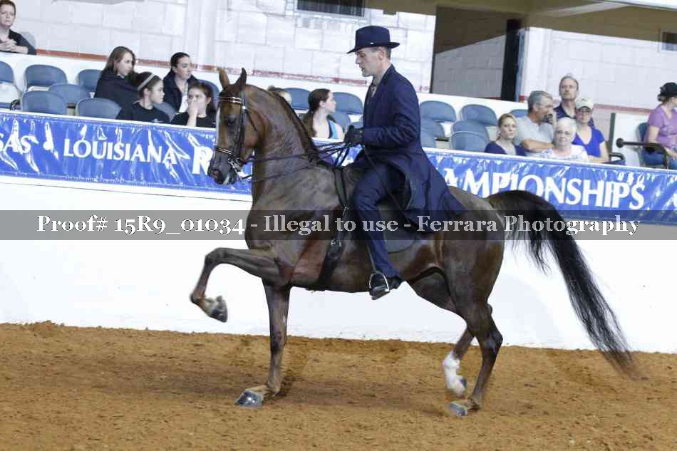 Proof Number 15R9_01034