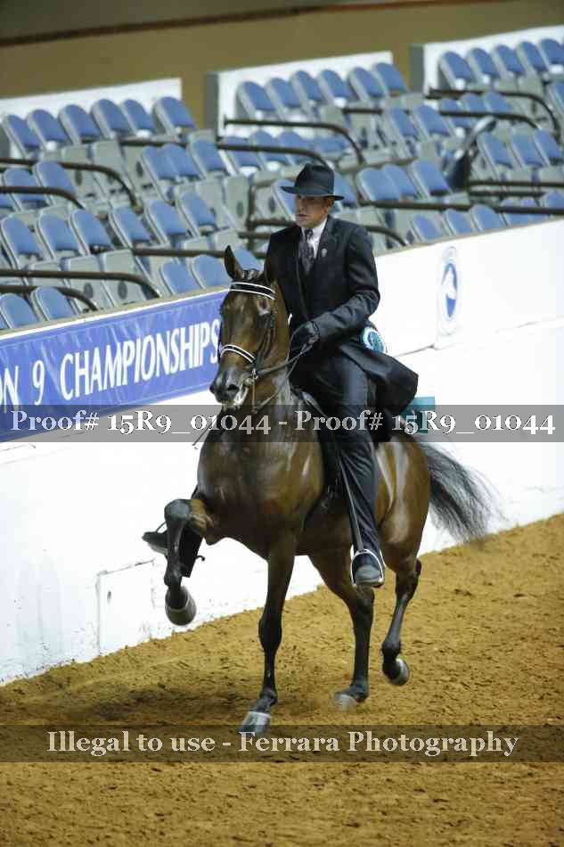 Proof Number 15R9_01044