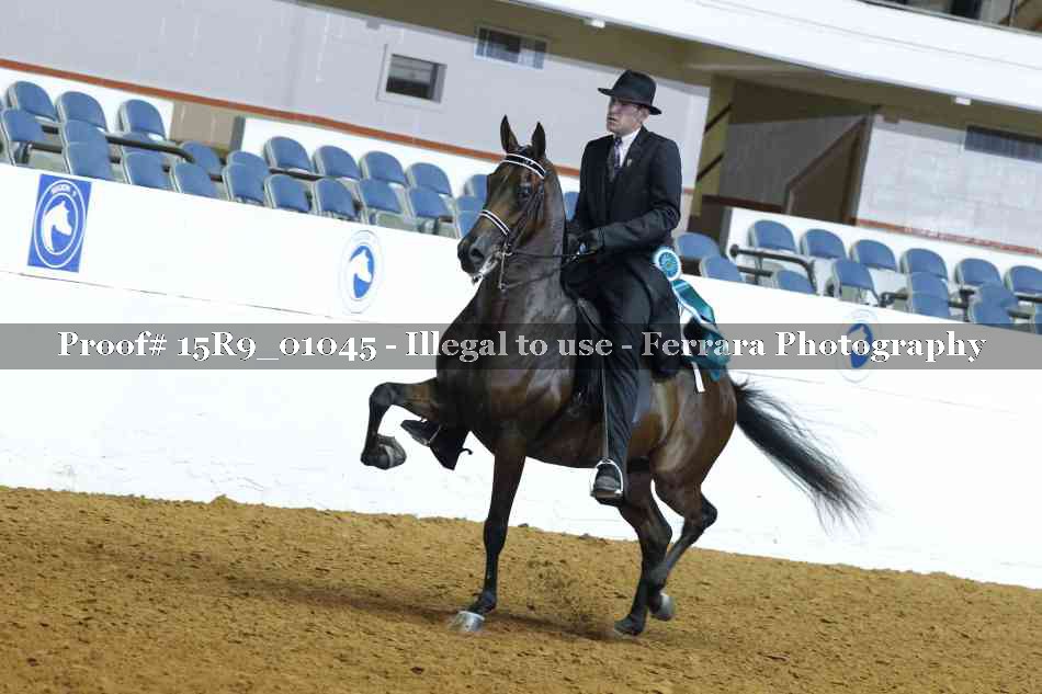 Proof Number 15R9_01045