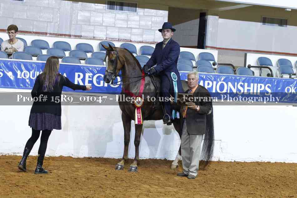 Proof Number 15R9_01047