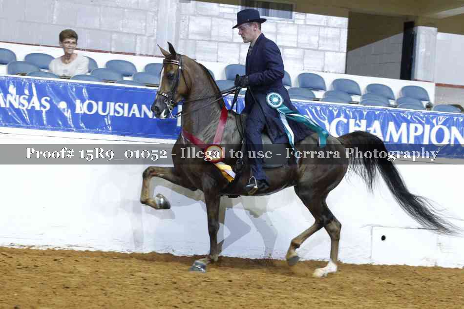Proof Number 15R9_01052