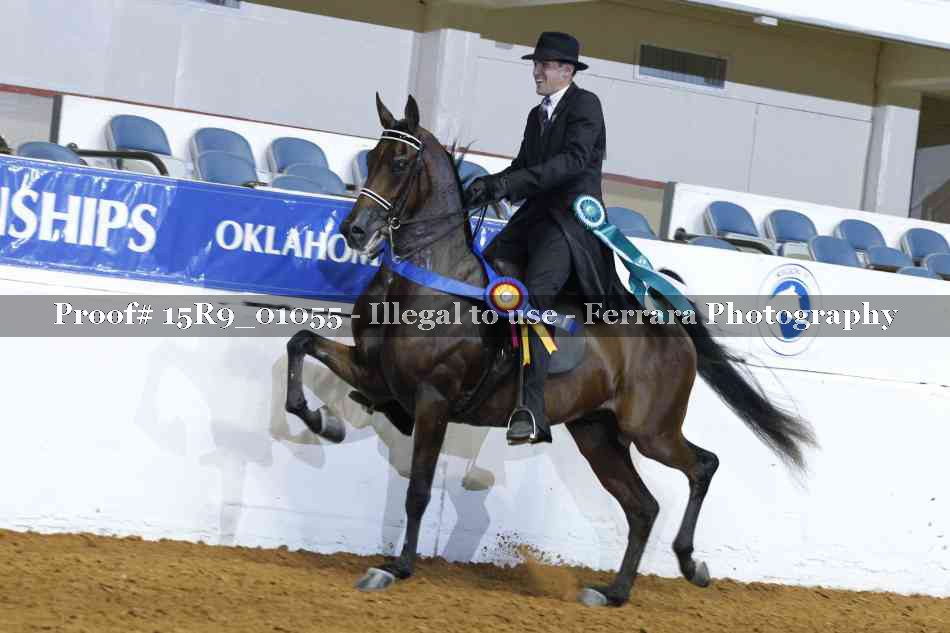 Proof Number 15R9_01055