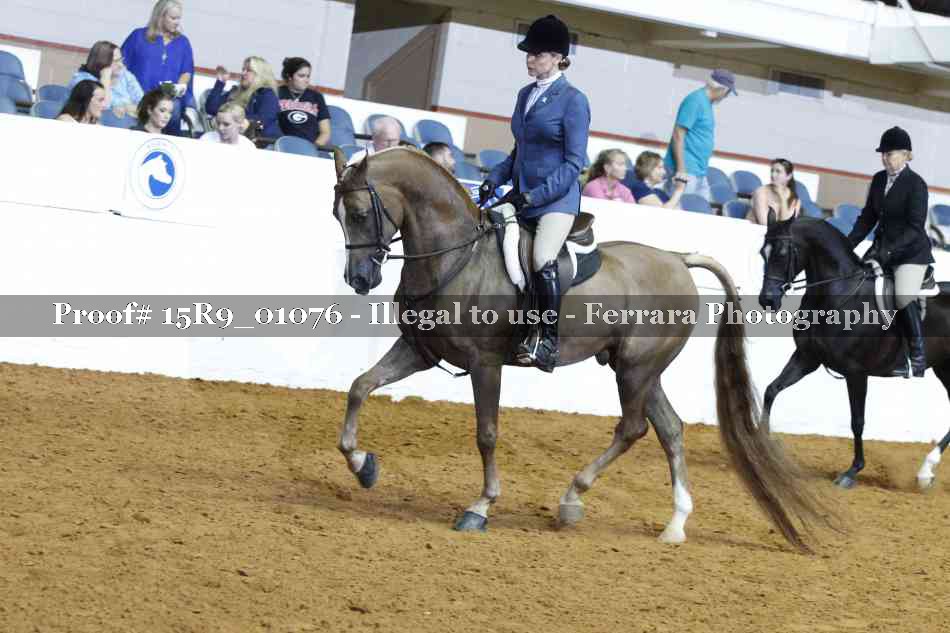 Proof Number 15R9_01076