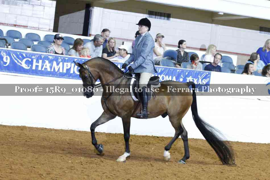 Proof Number 15R9_01080