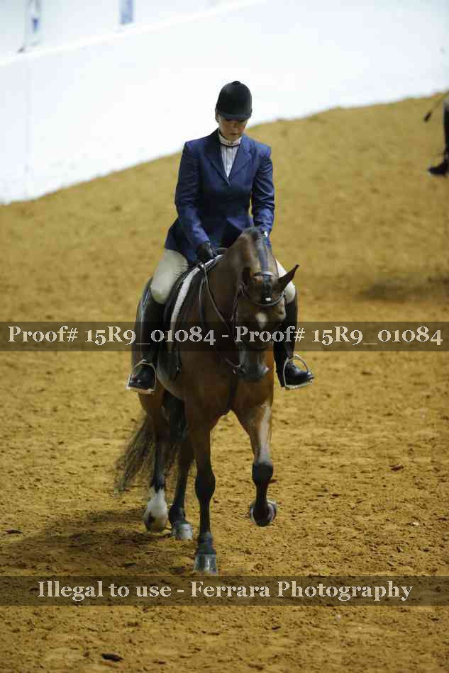 Proof Number 15R9_01084