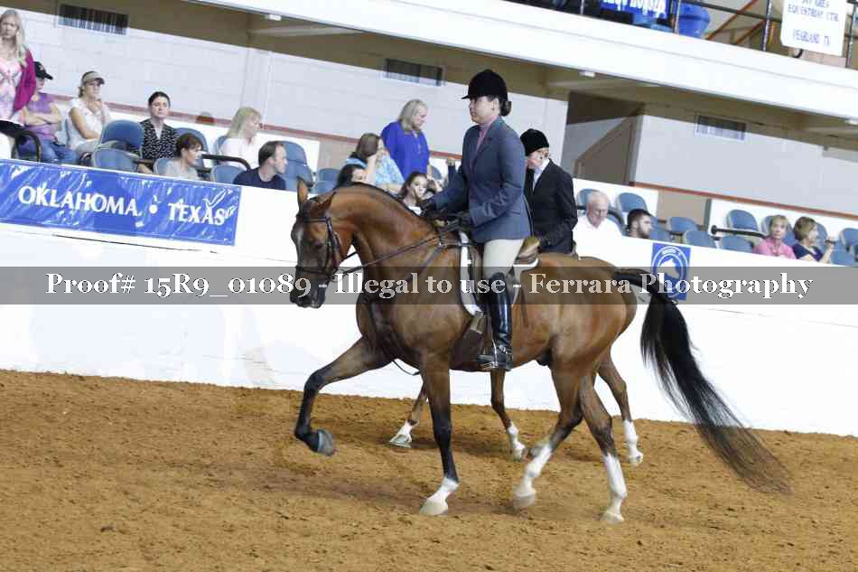 Proof Number 15R9_01089
