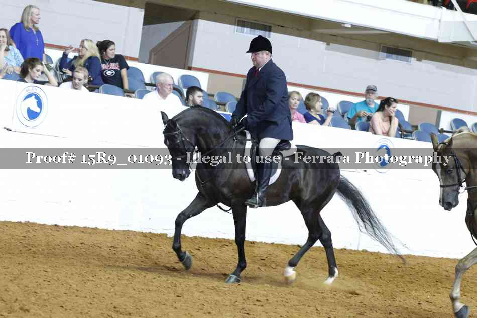 Proof Number 15R9_01093