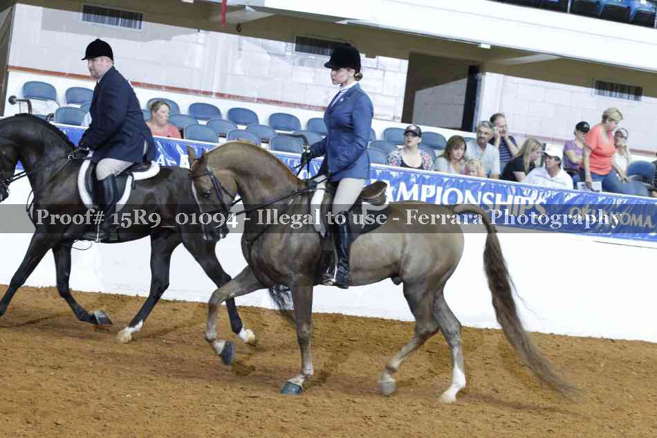 Proof Number 15R9_01094