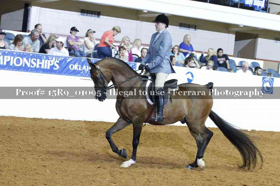 Proof Number 15R9_01095