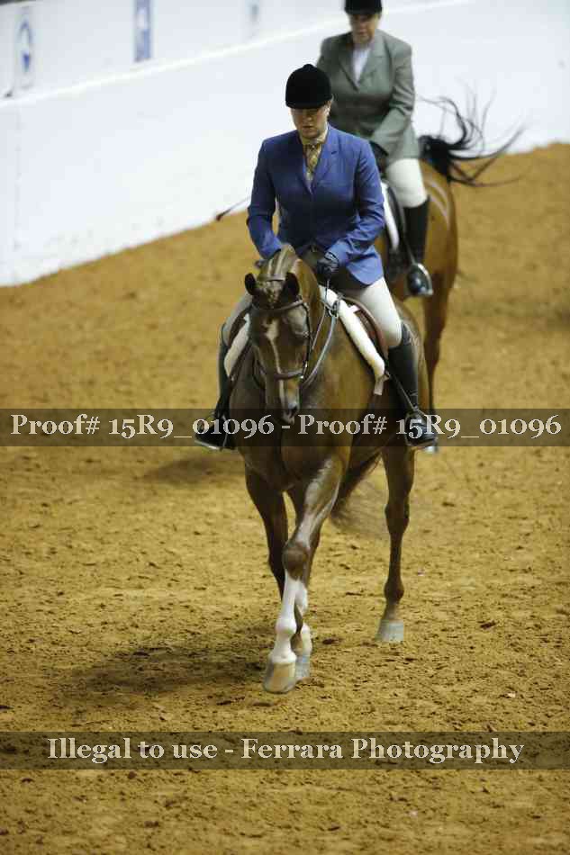 Proof Number 15R9_01096