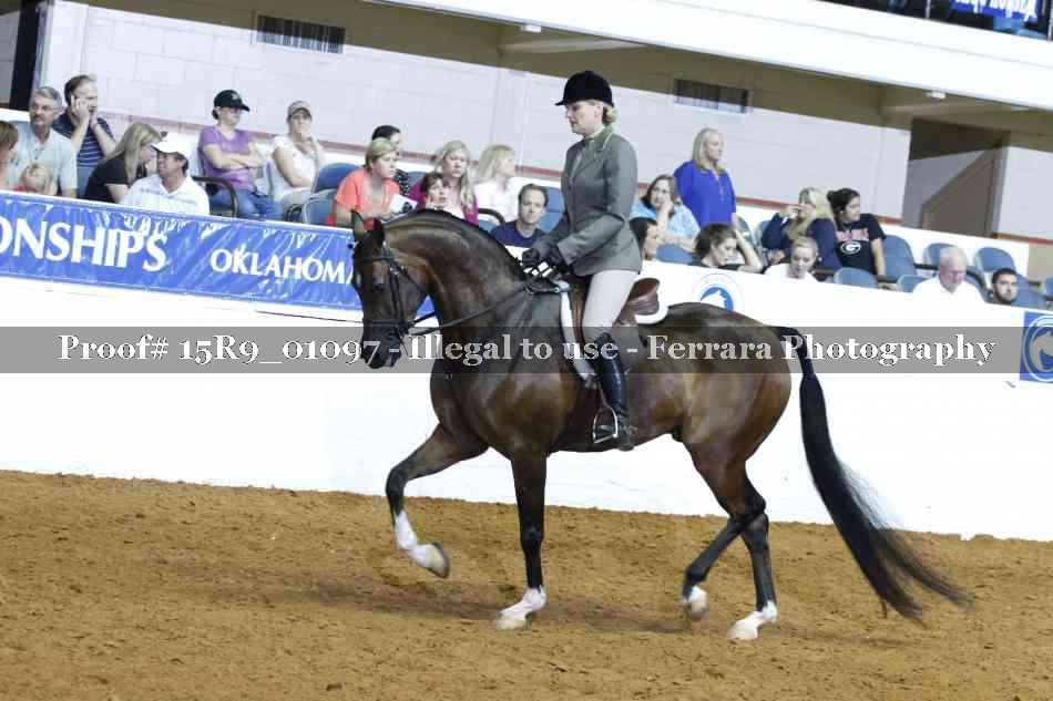 Proof Number 15R9_01097