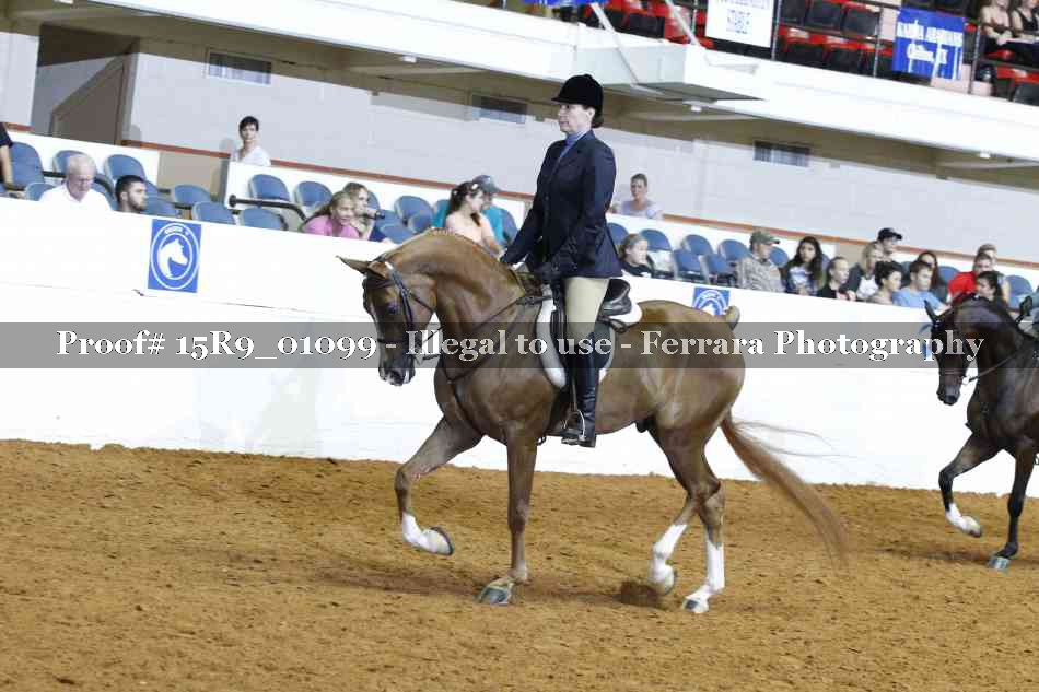 Proof Number 15R9_01099