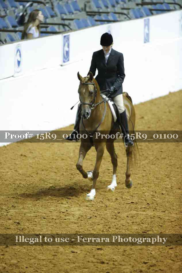 Proof Number 15R9_01100