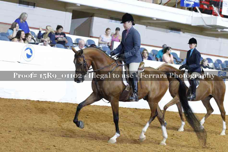 Proof Number 15R9_01102